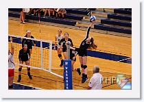 Set 1 * (168 Slides)